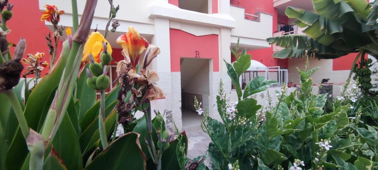 Sal Service Red Moradias Residence With Pool Santa Maria Exteriör bild